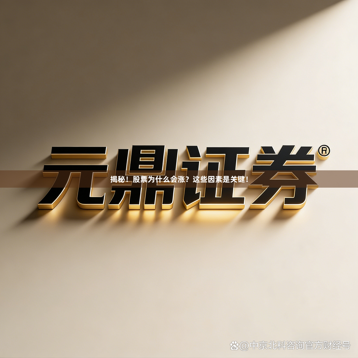 揭秘！股票为什么会涨？这些因素是关键！