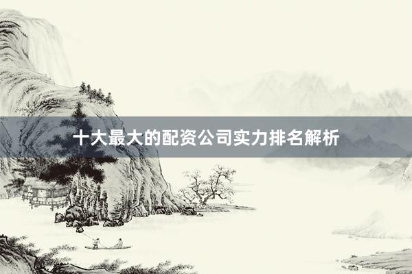 十大最大的配资公司实力排名解析